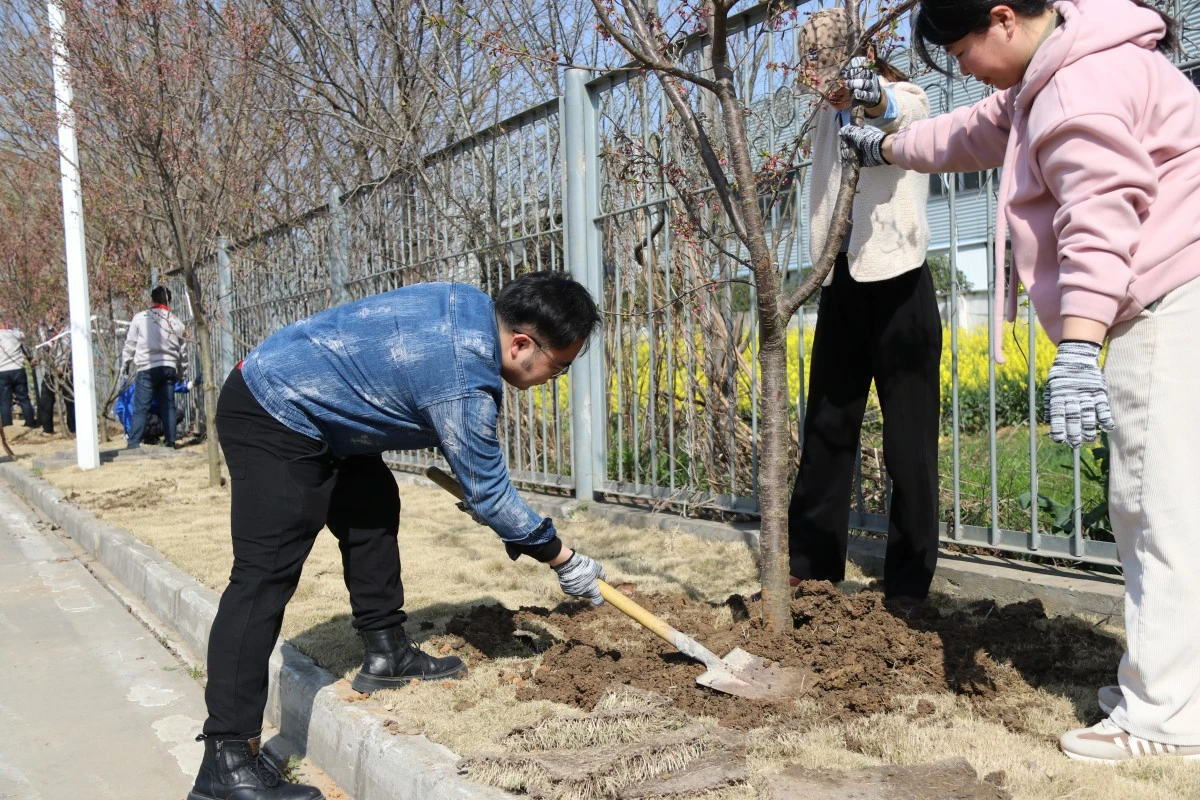 必达公司植树节集体劳动掠影
